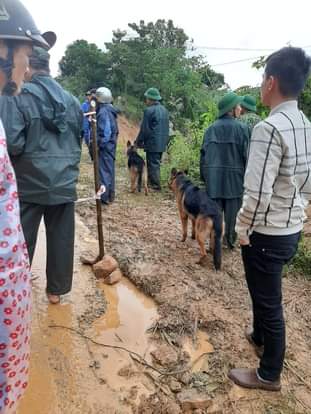 Tin nhanh - Sạt lở vùi lấp 22 chiến sỹ: Huy động chó nghiệp vụ tìm kiếm