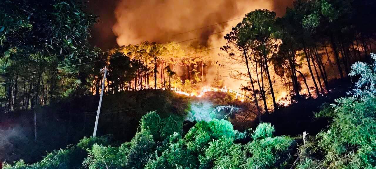 Dân sinh - Cháy rừng dữ dội 2 ngày qua ở Thừa Thiên-Huế đã được khống chế (Hình 5).
