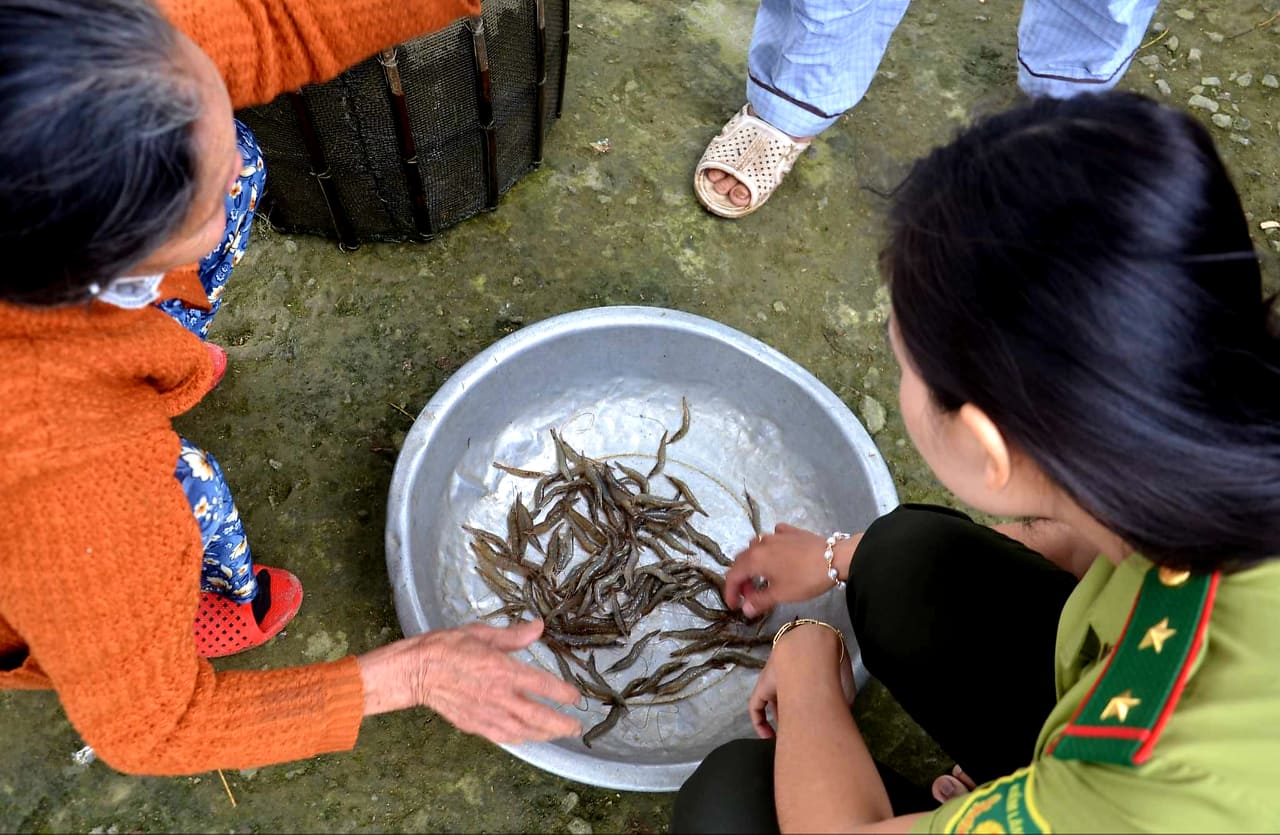 Dân sinh - Du xuân trong những dải rừng ngập mặn được ví như miền Tây ở xứ Huế (Hình 7).