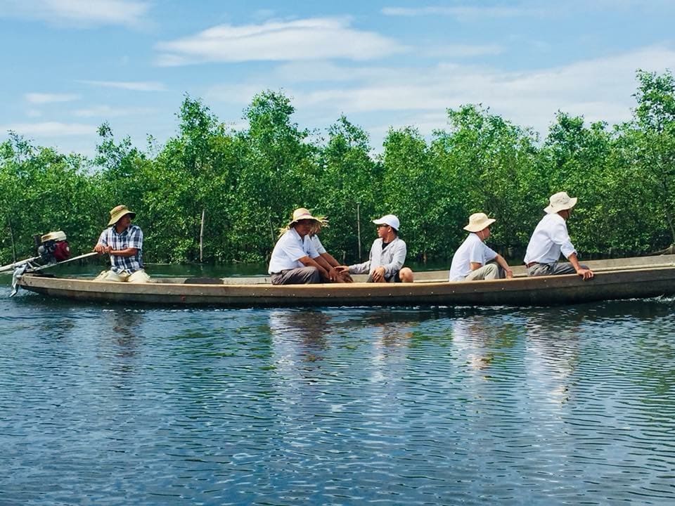 Dân sinh - Du xuân trong những dải rừng ngập mặn được ví như miền Tây ở xứ Huế (Hình 14).