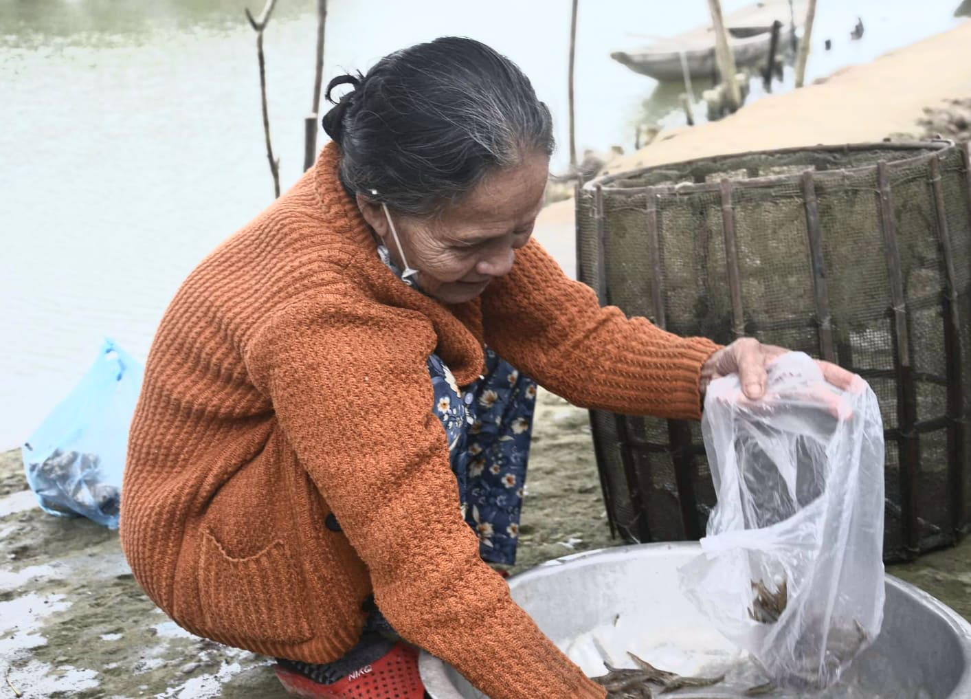 Dân sinh - Tình già giữa cánh rừng ngập mặn hoang sơ ở Huế (Hình 5).