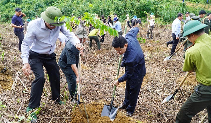 Môi trường - Lý do rừng tự nhiên ở Thừa Thiên-Huế trong 1 năm giảm hơn 72ha 