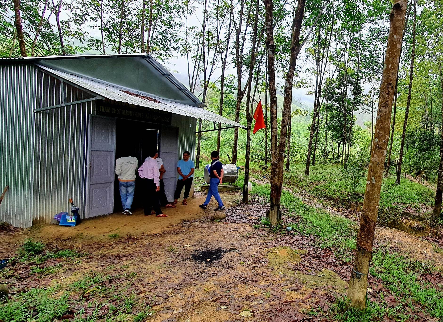 Sự kiện - Kỷ luật cảnh cáo một trưởng trạm QLBV rừng ở Thừa Thiên-Huế