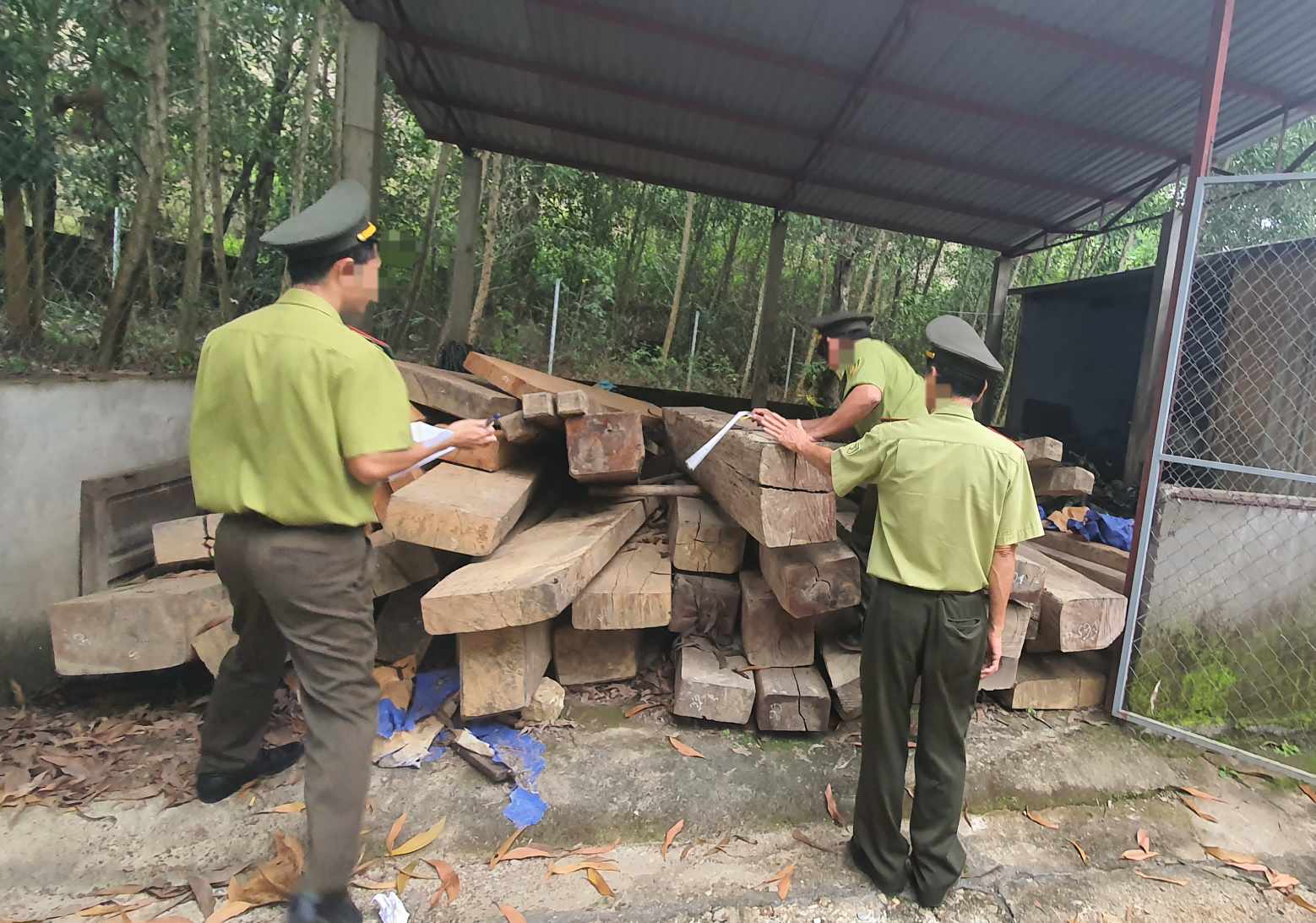 An ninh - Hình sự - Huế: Diễn biến mới vụ cán bộ kiểm lâm liên quan đến vụ vận chuyển lâm sản trái phép (Hình 2).