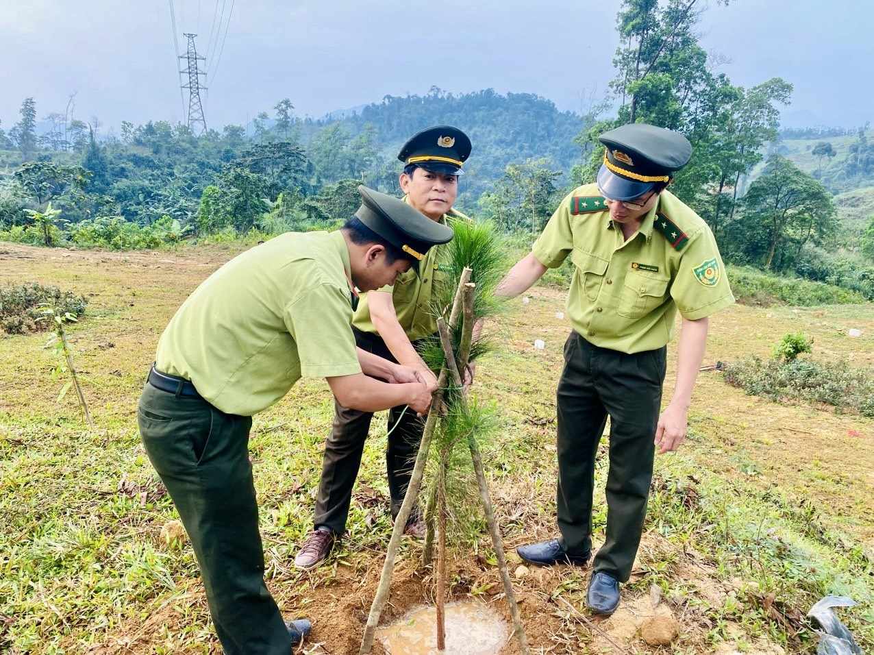 Dân sinh - Kỳ vọng về một rừng cây toả mát ở khu tưởng niệm 13 liệt sĩ Rào Trăng (Hình 5).