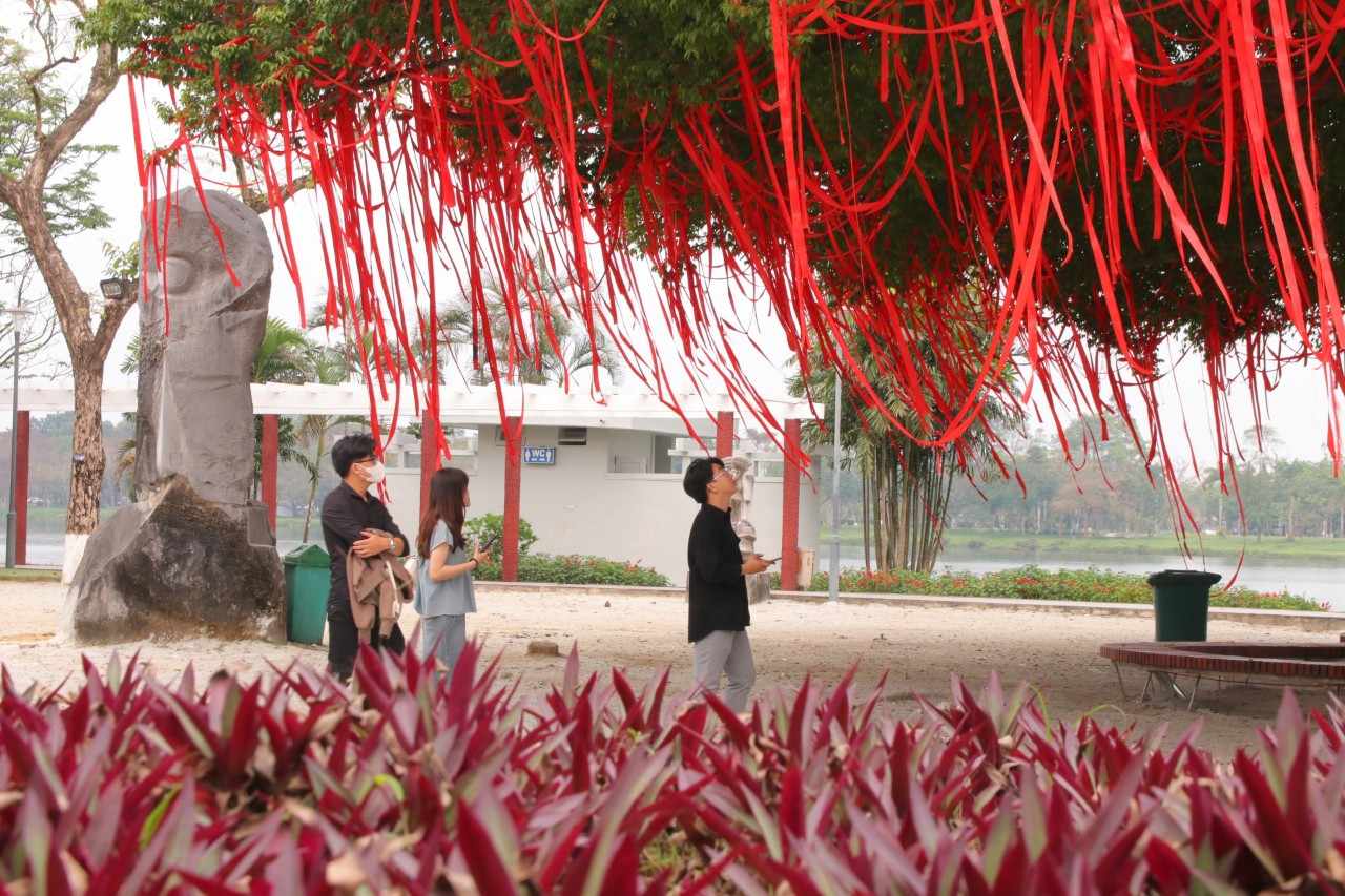Dân sinh - Điều ít biết về cây sanh cổ thụ thu hút du khách dịp Tết ở Huế (Hình 4).