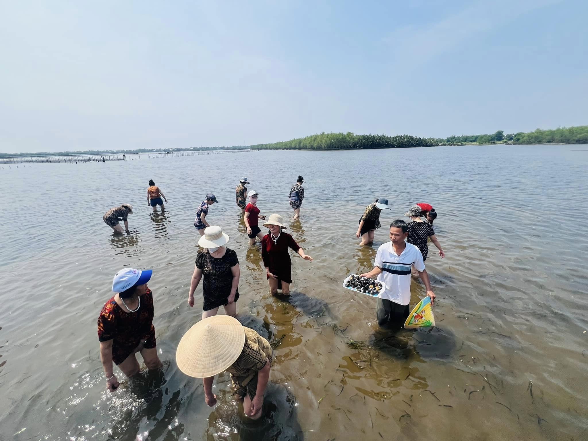 Dân sinh - Điều gì khiến thôn chài ven phá Tam Giang thoát mác “xóm... ngại cười'? (Hình 12).