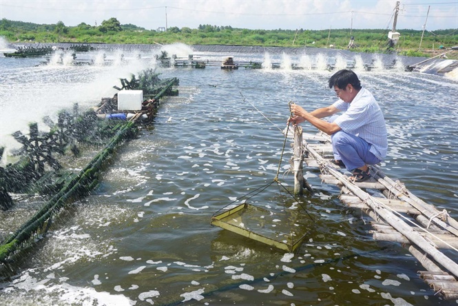 Kinh tế vĩ mô - 'Gót chân A-sin' và điều Bộ trưởng muốn ngành nông nghiệp thức tỉnh (Hình 3).