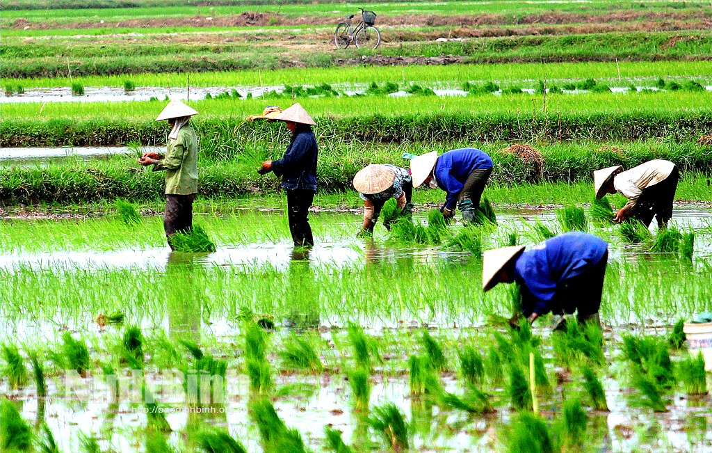 Tiêu điểm - Bài toán của Bộ trưởng Lê Minh Hoan '10 triệu nông dân và 10 triệu thửa đất'