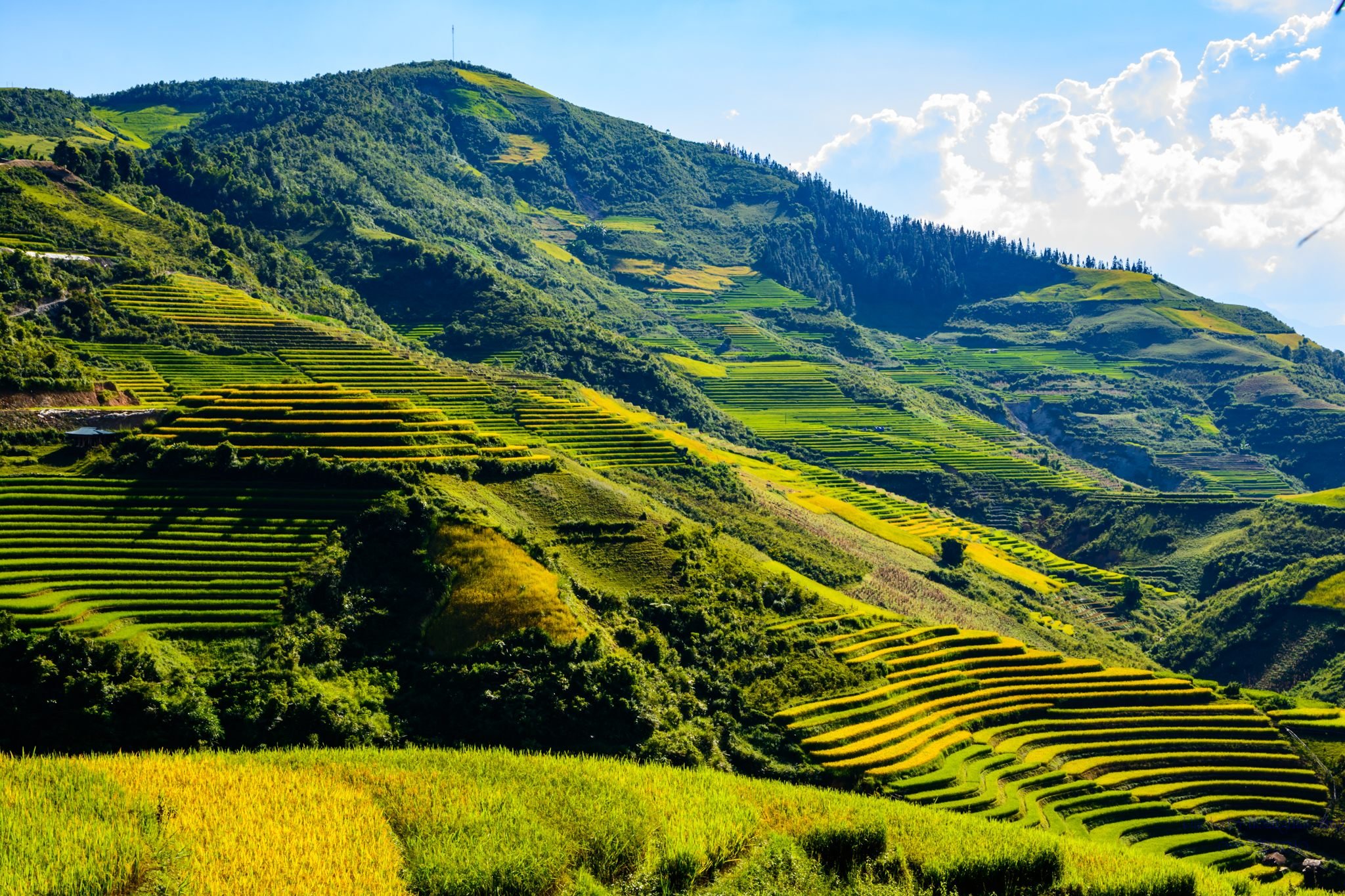 Tiêu dùng & Dư luận - Khai thác “mỏ vàng” từ xu hướng du lịch Caravan, Trekking (Hình 2).