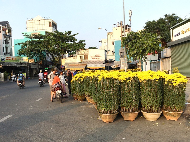 Tin nhanh - TP.HCM chiều 30 tết: Hoa kiểng đại hạ giá, người đi xem, đi xin nhiều hơn mua (Hình 14).