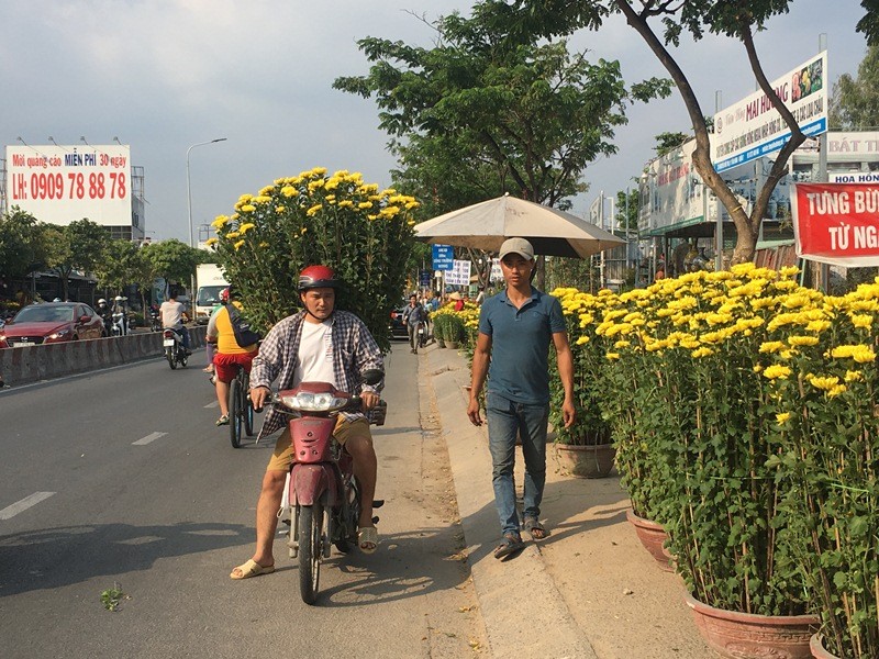 Tin nhanh - TP.HCM chiều 30 tết: Hoa kiểng đại hạ giá, người đi xem, đi xin nhiều hơn mua (Hình 3).