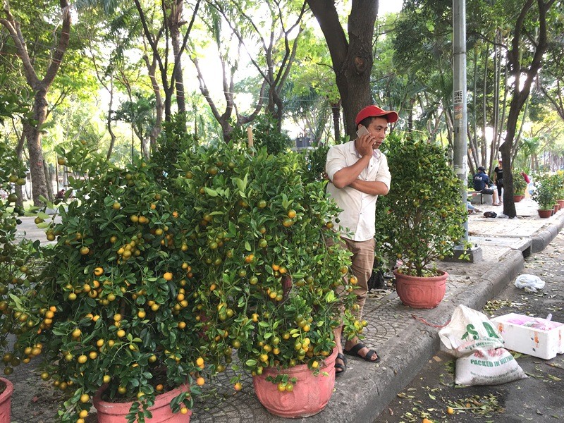 Tin nhanh - TP.HCM: Tâm sự rơi nước mắt của người đàn ông đập 200 chậu quất chiều 30 Tết (Hình 4).