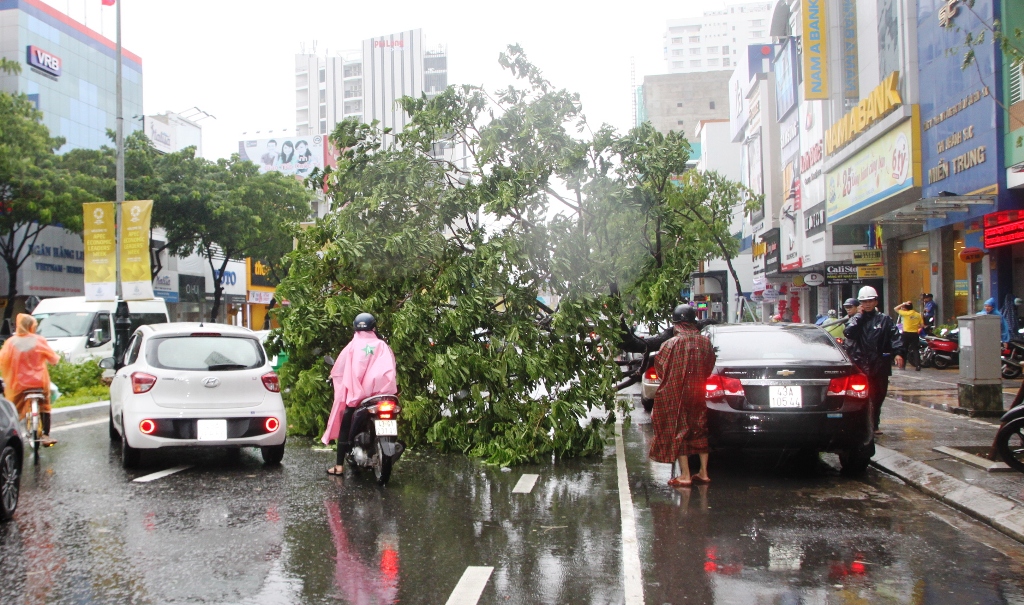 Xã hội - Quảng Nam ngập lụt, Đà Nẵng hối hả 'đội mưa' khắc phục hậu quả (Hình 2).