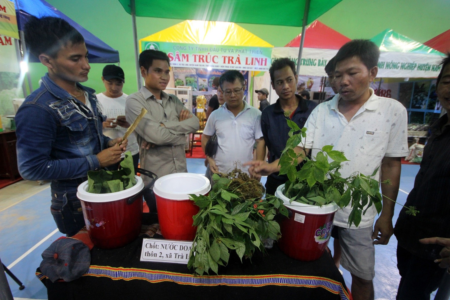 Tiêu dùng & Dư luận - Quảng Nam: Mua phải sâm giả, Chủ tịch huyện chịu trách nhiệm? (Hình 2).