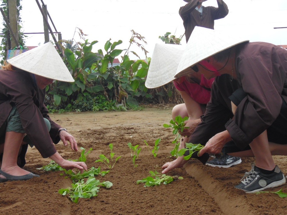 Đặc biệt, nhiều du khách phương Tây còn hòa mình vào không gian sinh hoạt của người Trà Quế. Họ tự tay trồng rau, tưới rau và vui với các trò chơi dân gian. Cũng trong dịp này, nhiều người bản địa xuống đồng trồng trọt lấy ngày. Ai ai cũng mong ngóng một năm mới tốt tươi, trọn vẹn.