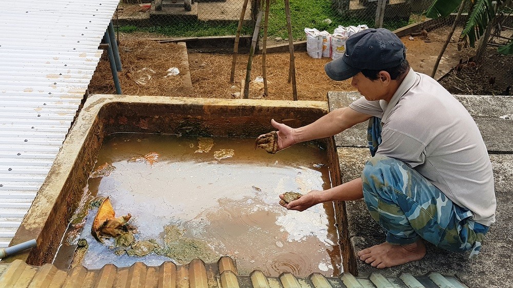 Quảng Nam: Hàng trăm hộ dân 'liều' uống nước nhiễm phèn