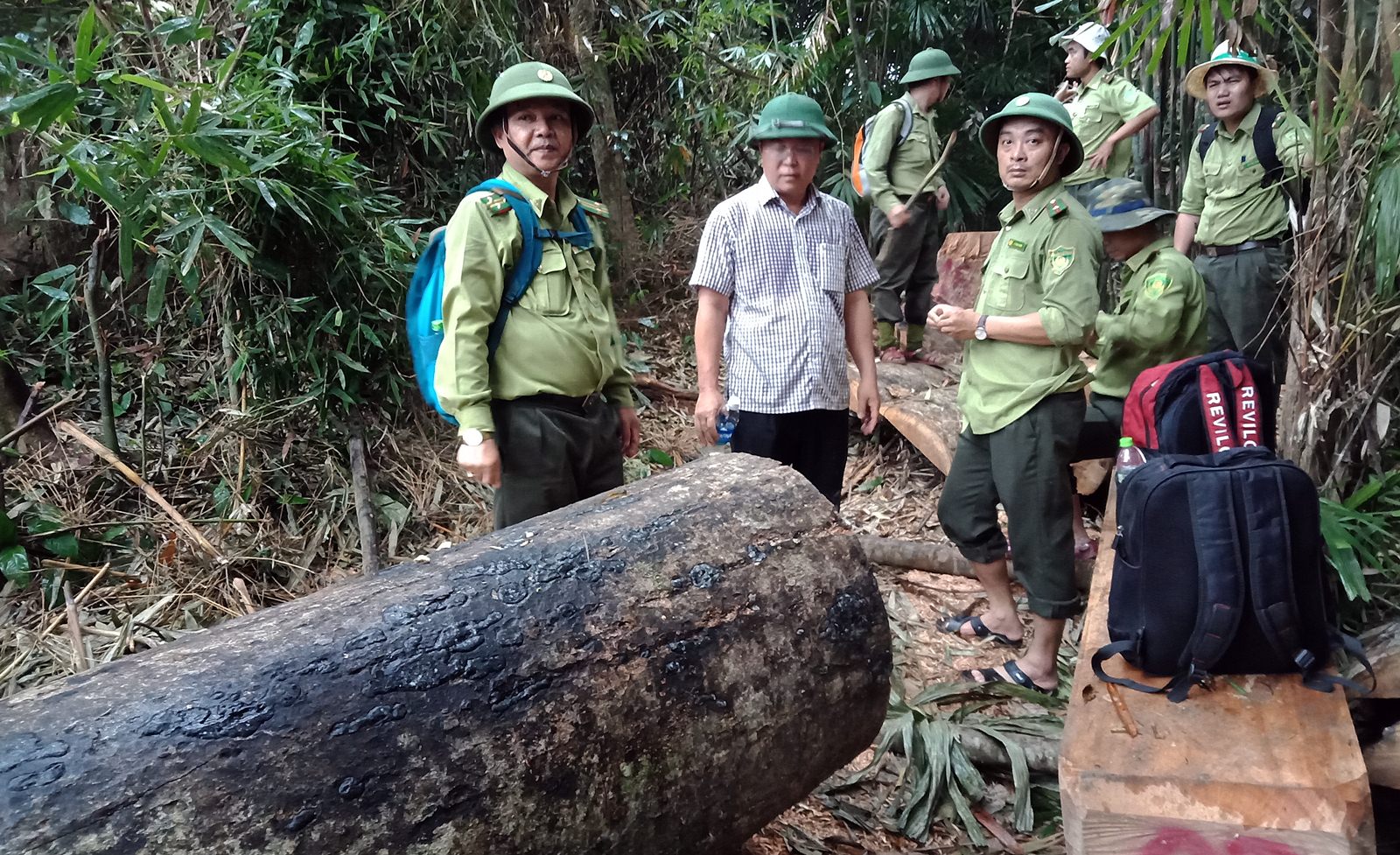 Kiểm lâm phải cam kết... bảo vệ rừng