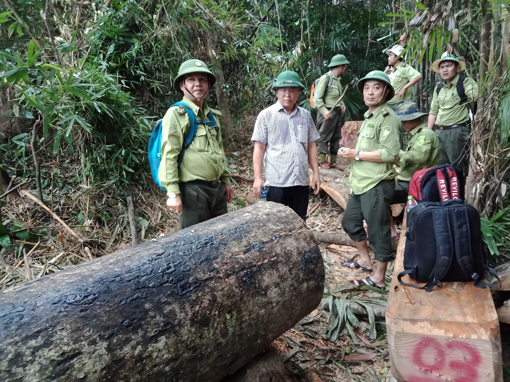 Quảng Nam: 'Nóng' chuyện giữ rừng, 'máu' đại ngàn vẫn chảy