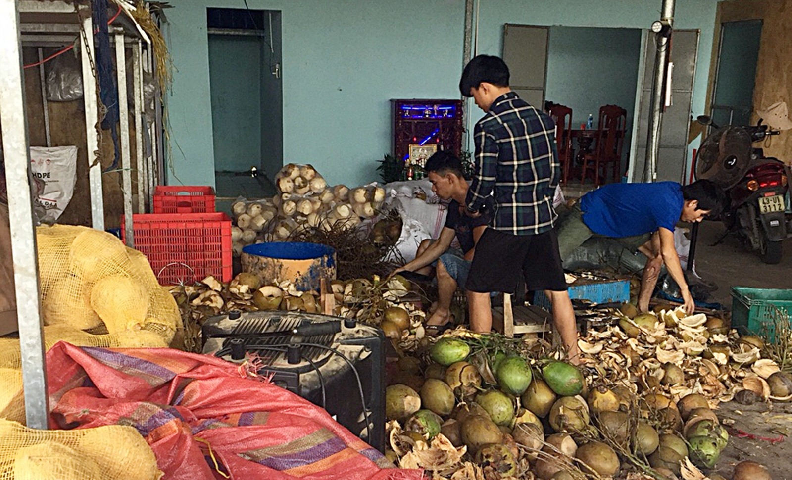 Hé lộ công đoạn hãi hùng từ hóa chất tẩy trắng dừa