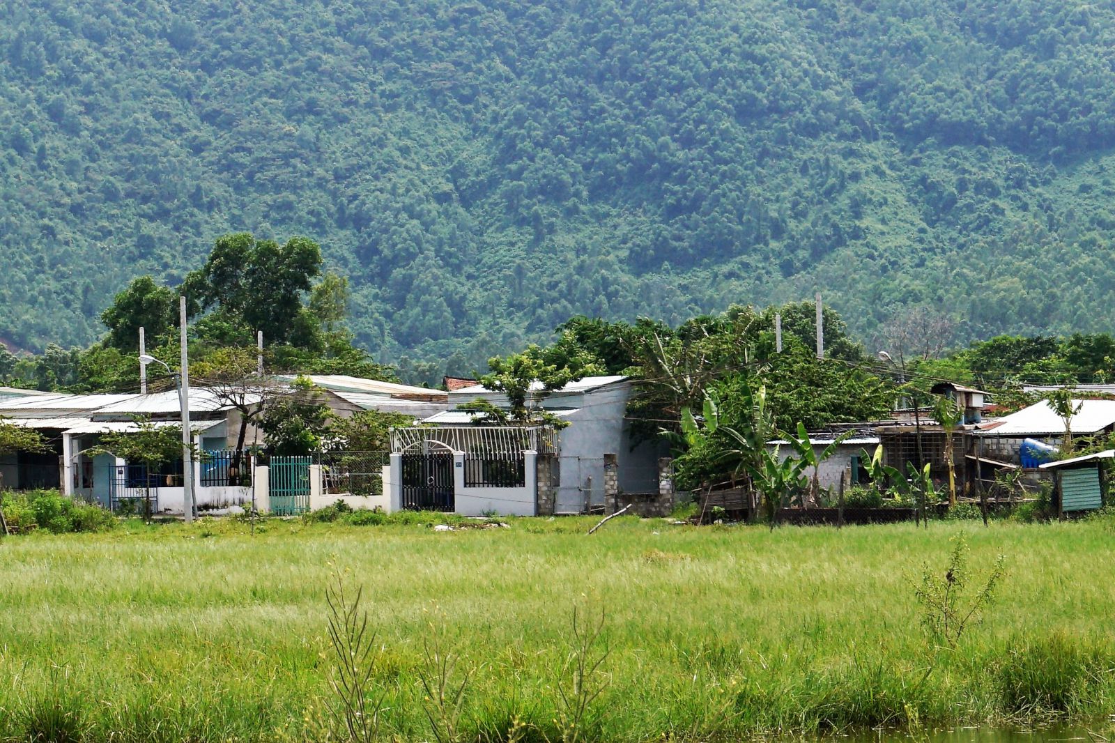 Tin nhanh - Đà Nẵng: Lộ lý do Phó Bí thư, Chủ tịch quận đồng loạt bị kỷ luật (Hình 2).