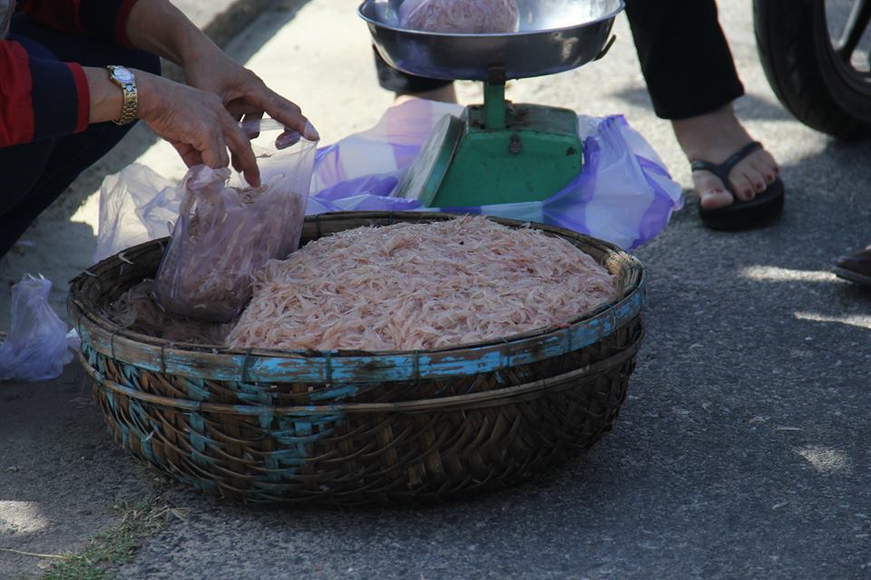 Tin nhanh - Ngư dân miền Trung hốt bạc triệu mỗi ngày nhờ ruốc biển đầu năm (Hình 2).