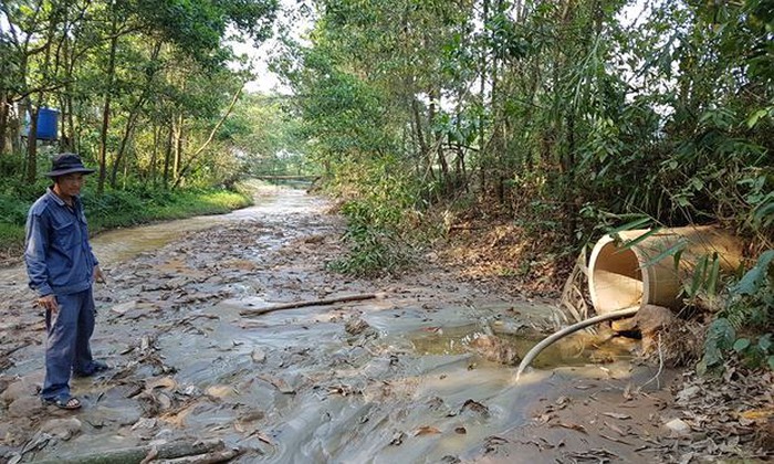 Môi trường - Một năm sau 'thảm họa' vỡ hồ chứa: Công ty 6666 coi thường chỉ đạo UBND tỉnh Quảng Nam (Hình 4).