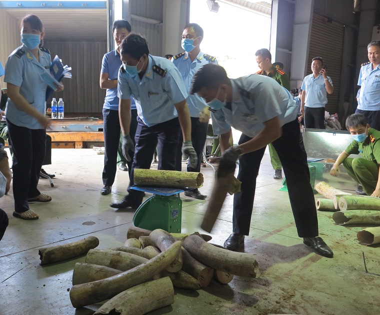 An ninh - Hình sự - Phát hiện 9,1 tấn hàng hóa nghi ngà voi được ngụy trang tinh vi trong các thanh gỗ xẻ