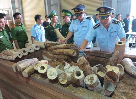 Tin nhanh - Đà Nẵng mạnh tay chống buôn lậu, cấp dưới nhũng nhiễu sẽ 'xử' cấp trên (Hình 2).