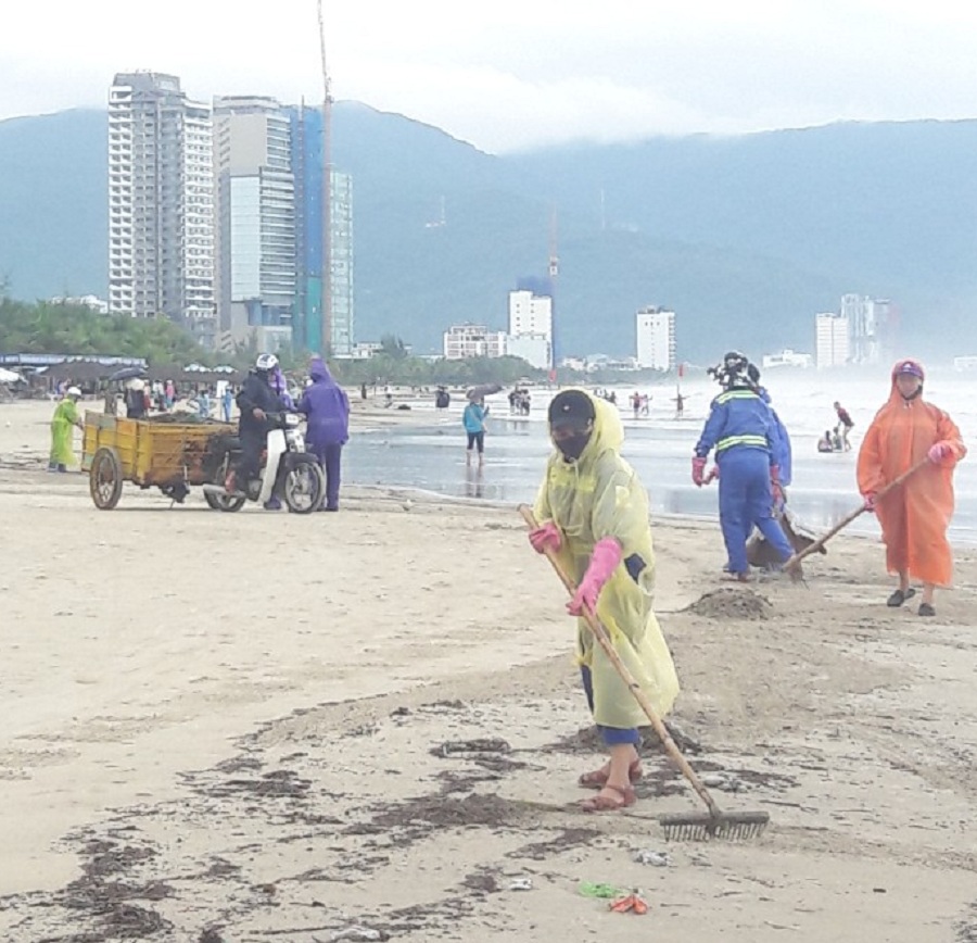 Theo lãnh đạo ban Quản lý bán đảo Sơn Trà và các bãi biển du lịch Đà Nẵng, do lượng rác vẫn còn quá lớn ở cả 2 tuyến biển, nên đơn vị  rất mong nhận được sự giúp đỡ từ cộng đồng người dân, các đội nhóm, tinh nguyện... trong việc dọn rác tại các bãi biển.