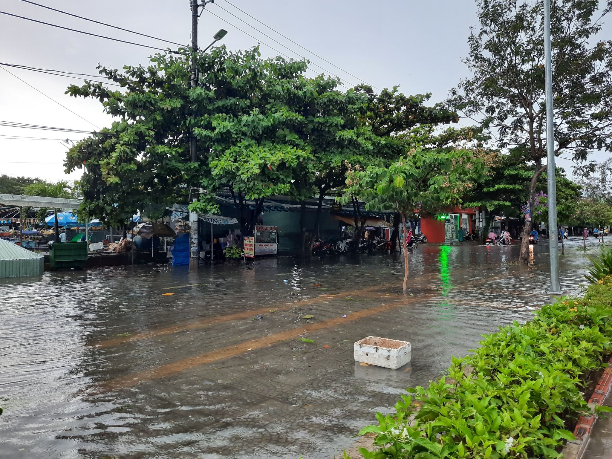 Tin nhanh - Đà Nẵng: Ngập lụt cục bộ, sét đánh vang trời trước bão số 5 (Hình 4).