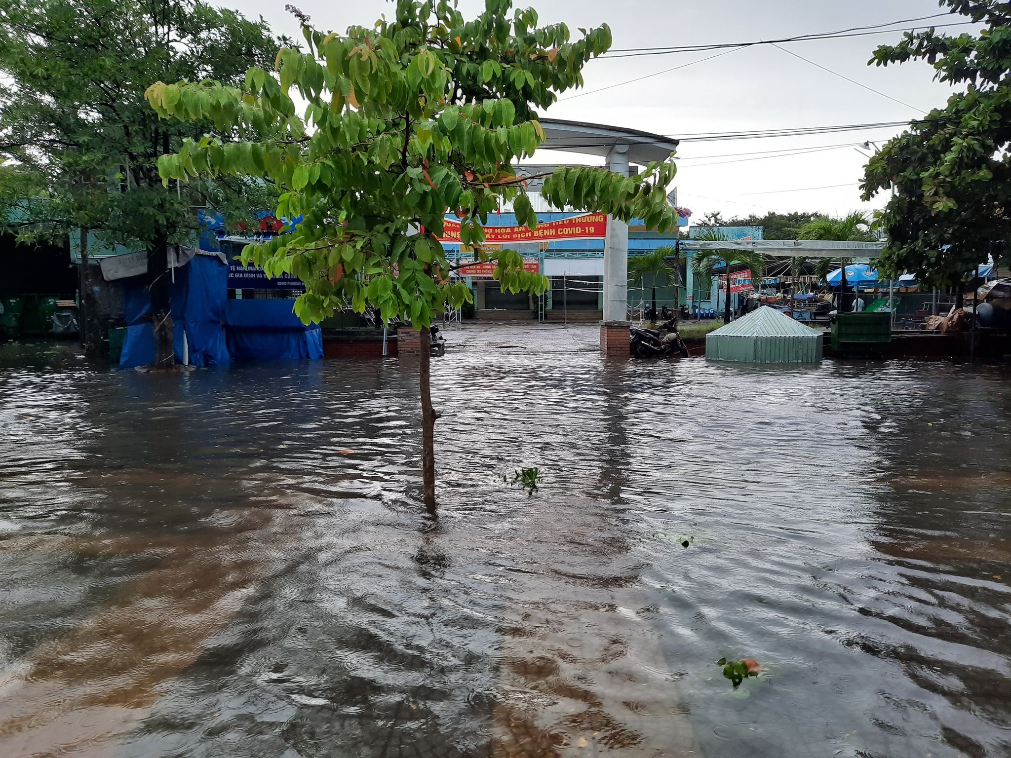 Tin nhanh - Đà Nẵng: Ngập lụt cục bộ, sét đánh vang trời trước bão số 5 (Hình 3).