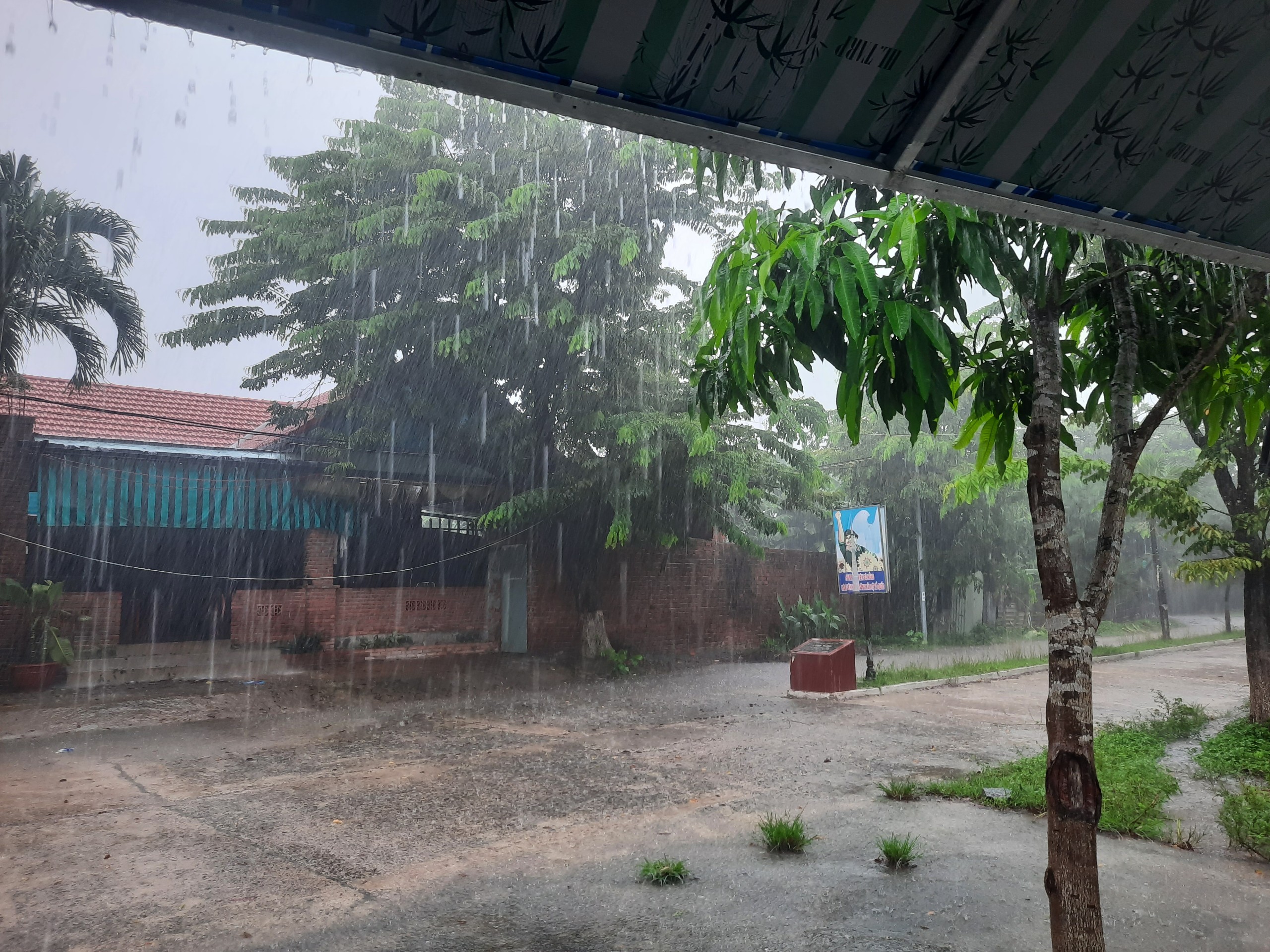 Dân sinh - Đà Nẵng: Bão chưa đến, phố đã thành sông, dân 'bì bõm' trong biển nước