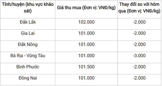 Tiêu dùng & Dư luận - Giá nông sản hôm nay 11/5: Khoai lang tím Nhật lãi lớn, vải đầu mùa giá cao, cà phê Arabica quay đầu giảm nhẹ (Hình 2).