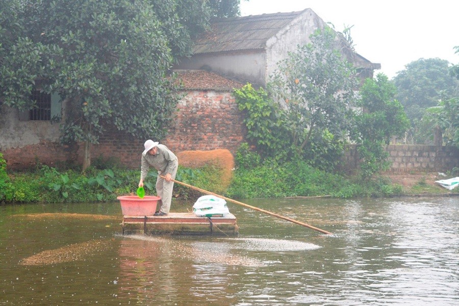 Đời sống - Anh nông dân thu lãi gần 1 tỷ đồng/năm nhờ nuôi con thích 'di chuyển bằng bụng'