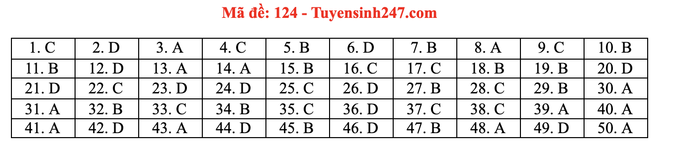 Giáo dục - Đáp án đề thi môn Toán tốt nghiệp THPT 2021 chuẩn nhất mã đề 124