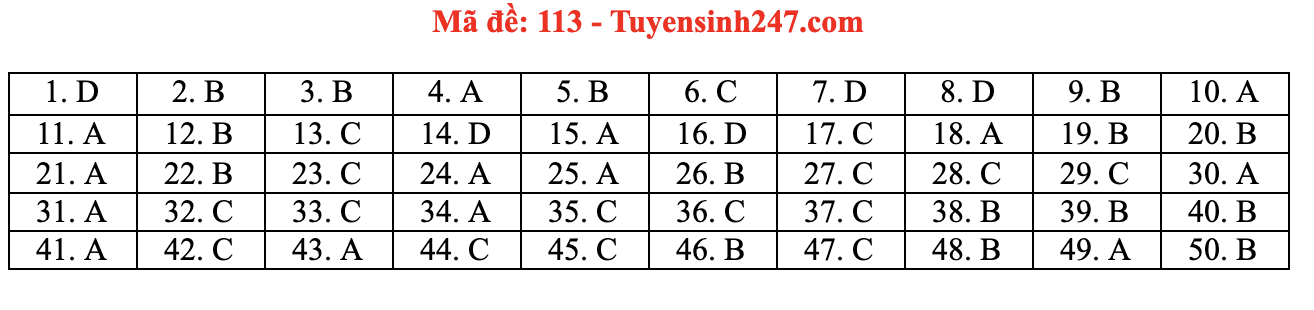 Giáo dục - Đáp án đề thi môn Toán tốt nghiệp THPT 2021 chuẩn nhất mã đề 113