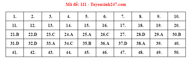 Giáo dục - Đáp án đề thi môn Toán tốt nghiệp THPT 2022 chuẩn nhất mã đề 111