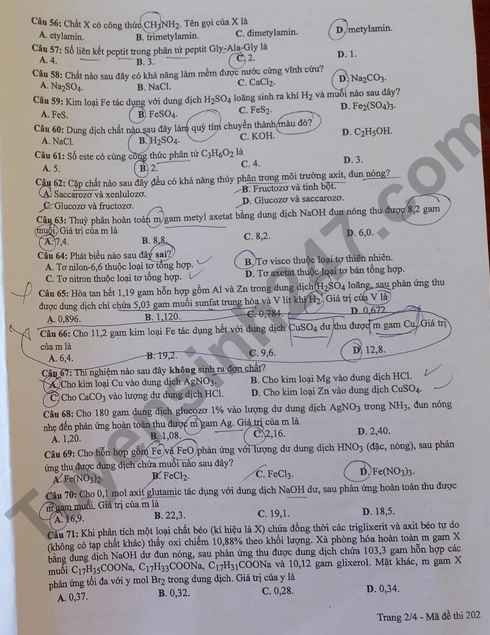 Giáo dục - Đáp án đề thi môn Hóa học tốt nghiệp THPT 2022 chuẩn nhất mã đề 204 (Hình 3).