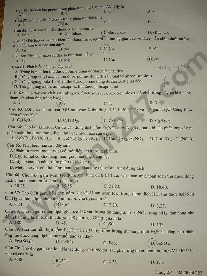 Giáo dục - Đáp án đề thi môn Hóa học tốt nghiệp THPT 2022 chuẩn nhất mã đề 223 (Hình 3).