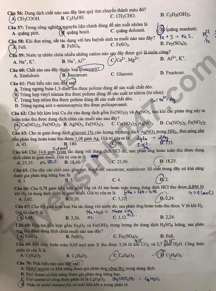 Giáo dục - Đáp án đề thi môn Hóa học tốt nghiệp THPT 2022 chuẩn nhất mã đề 217 (Hình 3).