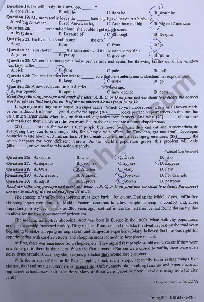 Giáo dục - Đáp án đề thi môn Ngoại Ngữ thi tốt nghiệp THPT 2022 mã đề 420 (Hình 3).
