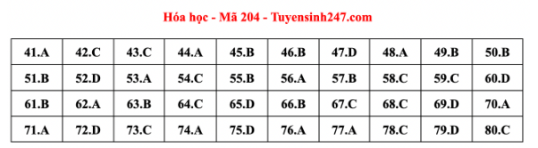 Giáo dục - Đề thi, gợi ý đáp án môn Hóa học mã đề 204 thi tốt nghiệp THPT 2023