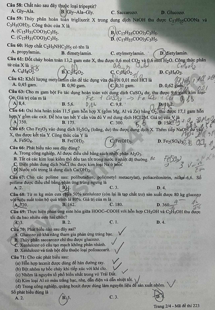 Giáo dục - Đề thi, gợi ý đáp án môn Hóa học mã đề 223 thi tốt nghiệp THPT 2023 (Hình 2).