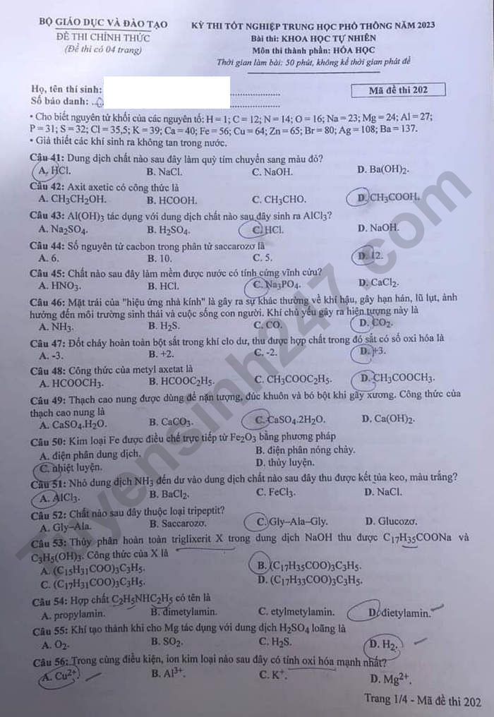 Giáo dục - Đề thi, gợi ý đáp án môn Hóa học mã đề 202 thi tốt nghiệp THPT 2023