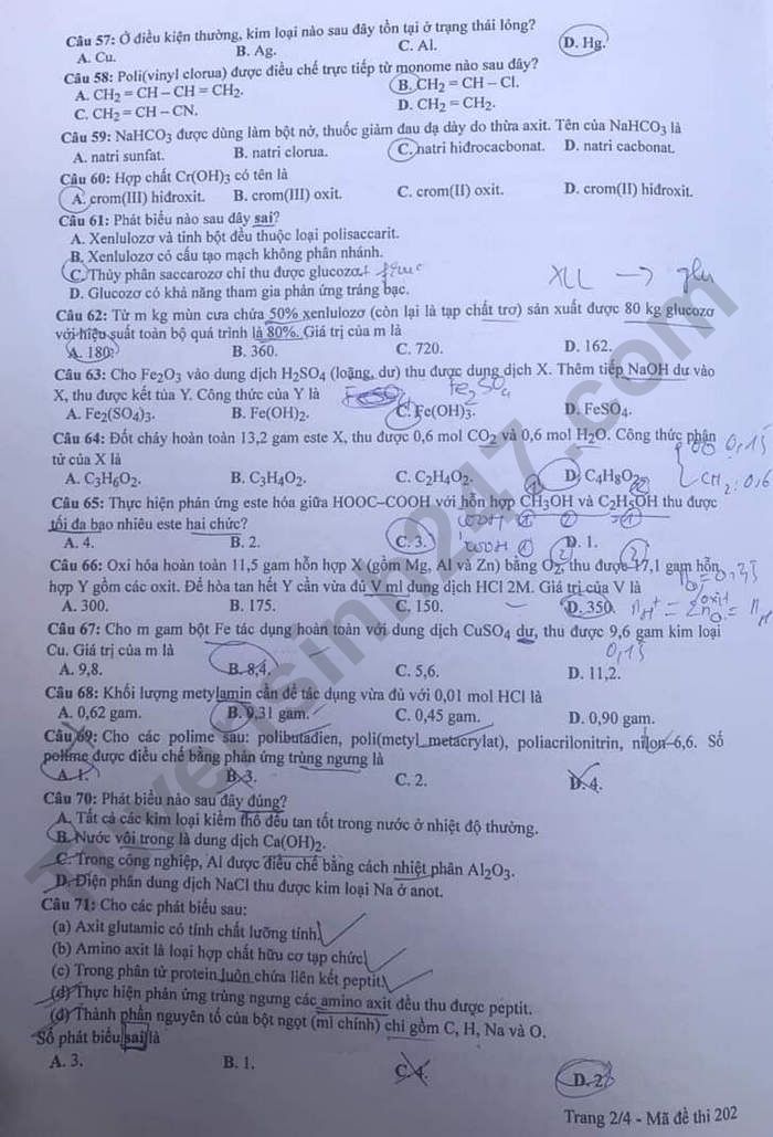 Giáo dục - Đề thi, gợi ý đáp án môn Hóa học mã đề 202 thi tốt nghiệp THPT 2023 (Hình 2).