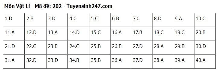 Giáo dục - Đáp án, đề thi môn Vật lí mã đề 202 kỳ thi THPT năm 2024 chuẩn nhất, chính xác nhất