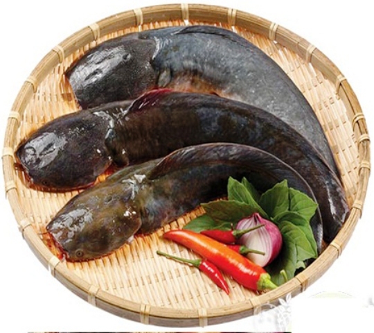 Gia đ&igrave;nh - M&oacute;n ngon mỗi ng&agrave;y: Tuyệt chi&ecirc;u l&agrave;m m&oacute;n c&aacute; tr&ecirc; kho ti&ecirc;u 