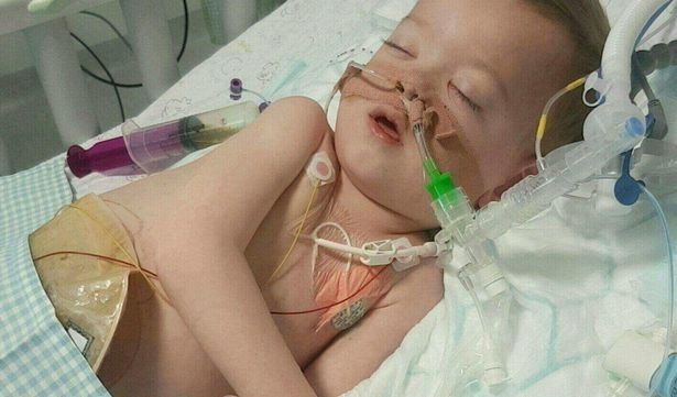 Gia đ&igrave;nh - B&eacute; trai 4 tuổi dũng cảm chiến đấu với 87 ca phẫu thuật (H&igrave;nh 3).