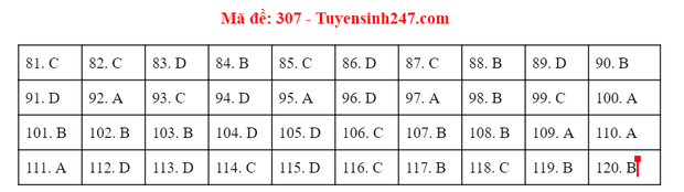 Giáo dục - Đáp án đề thi môn GDCD tốt nghiệp THPT 2020 chuẩn nhất mã đề 307 (Hình 5).